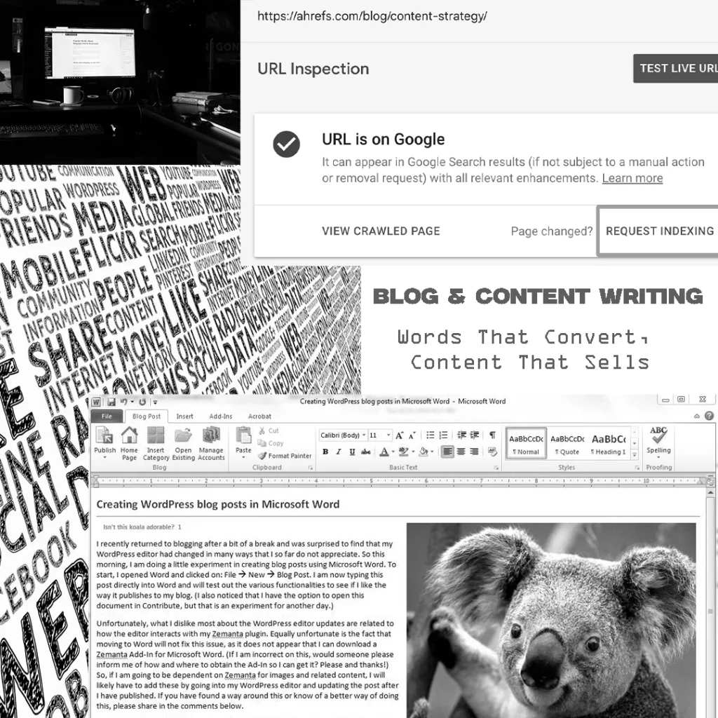 Blog & Content Writing