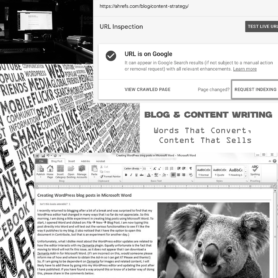 Blog & Content Writing
