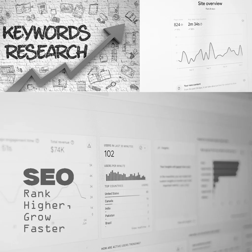 SEO (Search Engine Optimization)